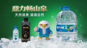 湖北水瞬达科技有限责任公司企业白皮书