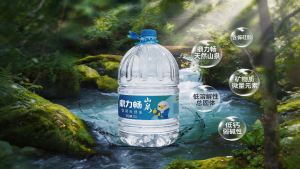 湖北水瞬达科技有限责任公司